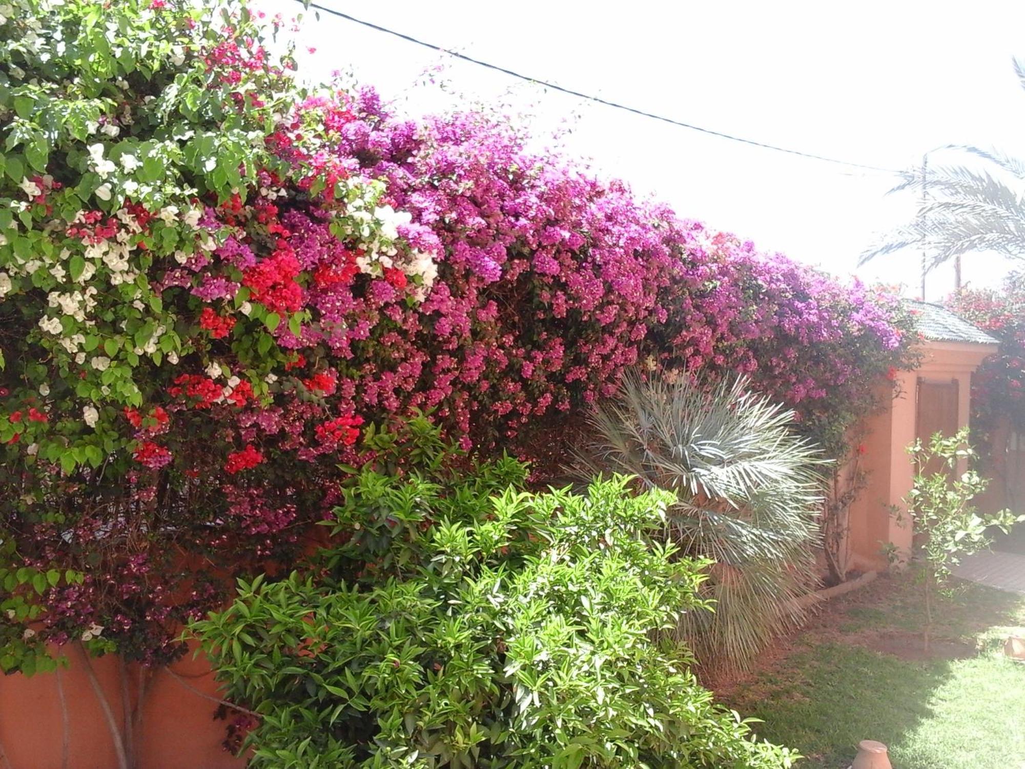 Clos Odette * Marrakesh